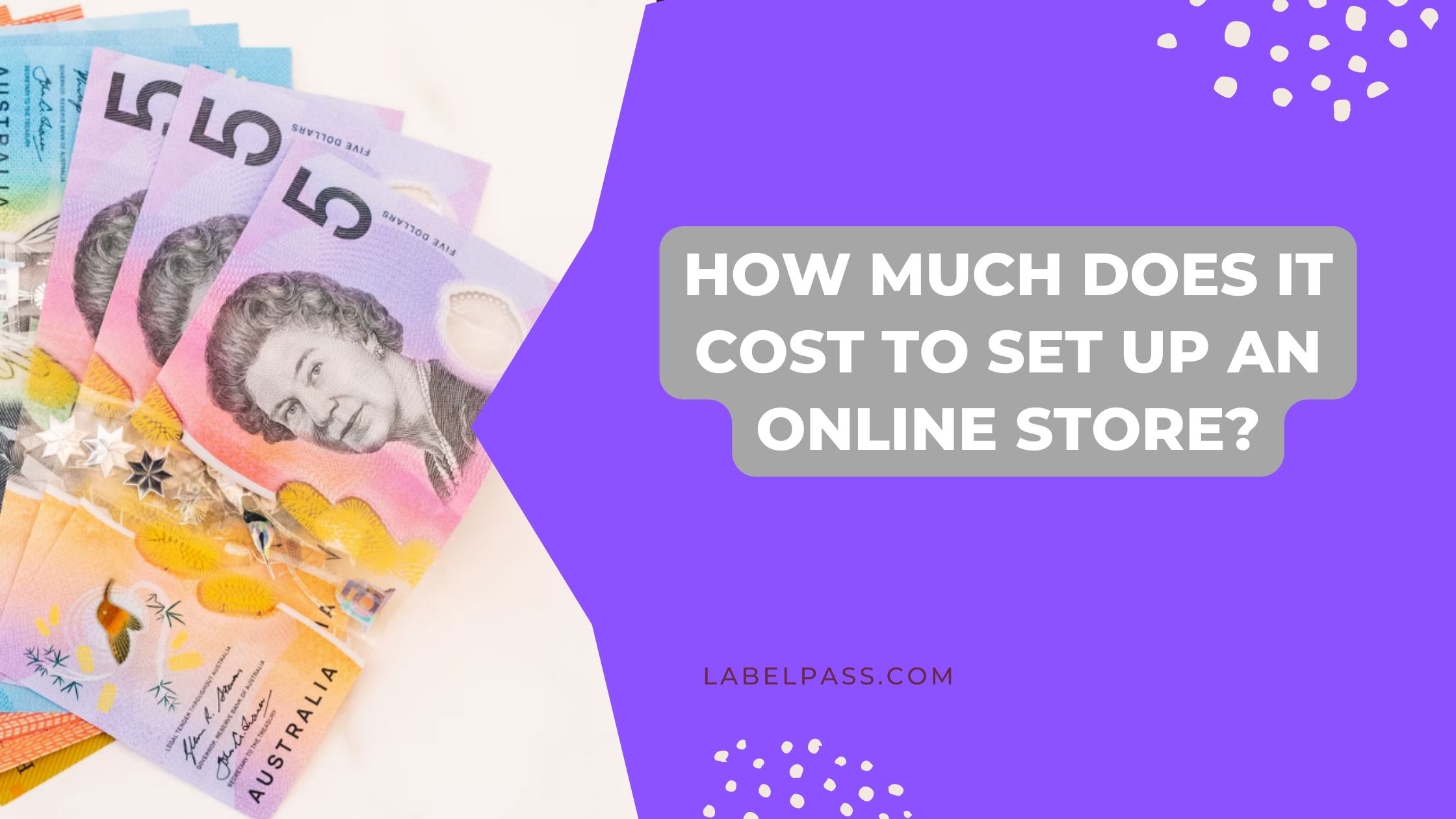 How Much Does It Cost To Set Up An Online Store LabelPass